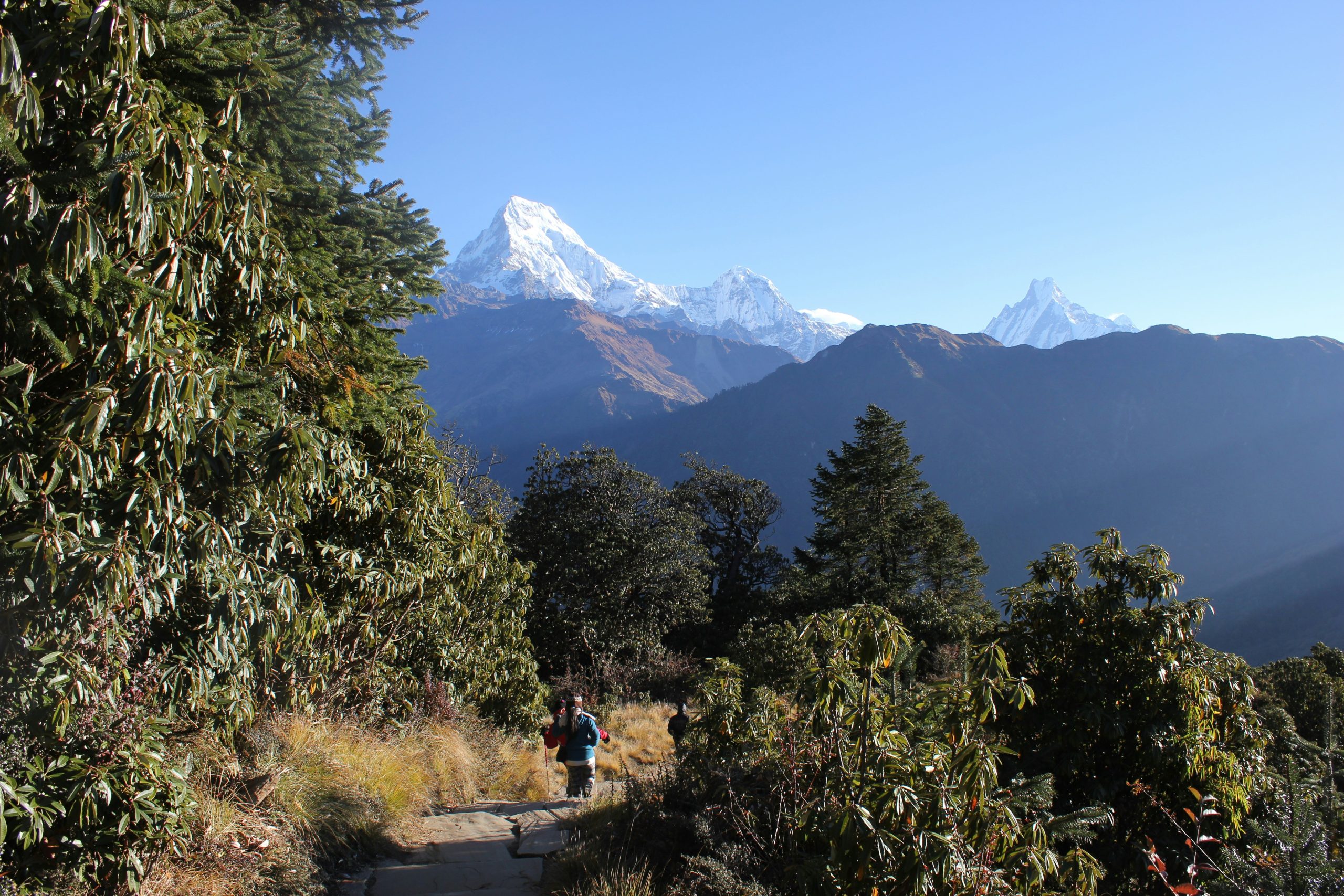 Langtang Trek